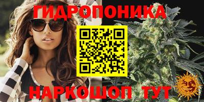 прущая мука Можга