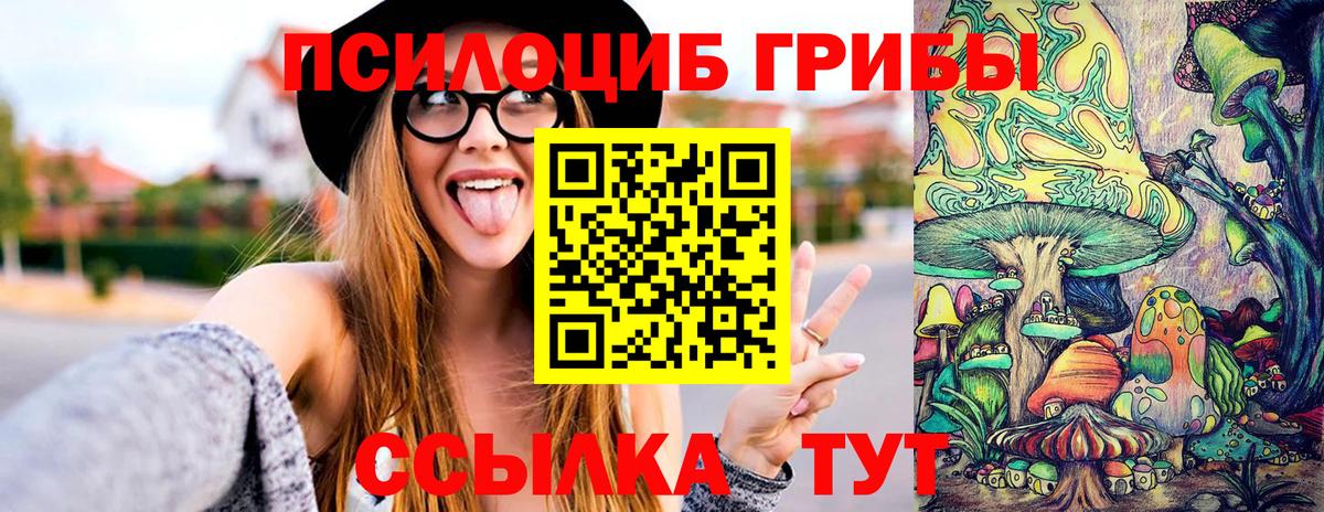 Черкесск  Галлюциногенные грибы Psilocybe  Вход с VPN  Псилоцибиновые грибы мухоморы 
